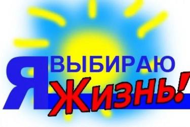 256